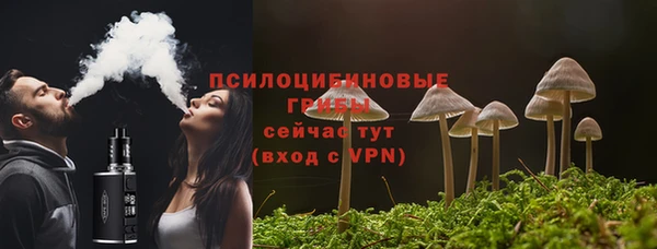 стаф Алексеевка
