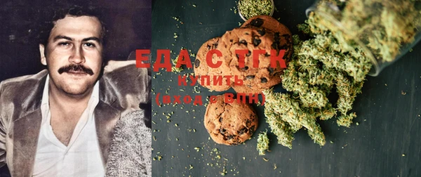 ECSTASY Алзамай