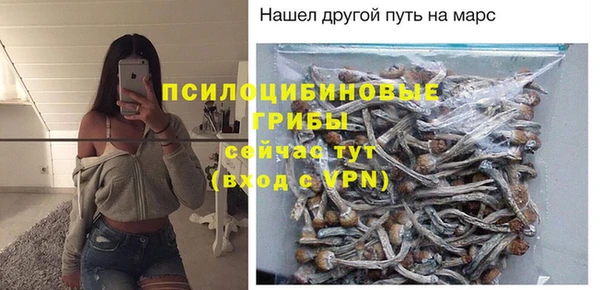 стаф Алексеевка