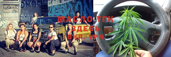 ECSTASY Алзамай