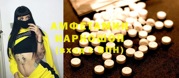 ECSTASY Алзамай