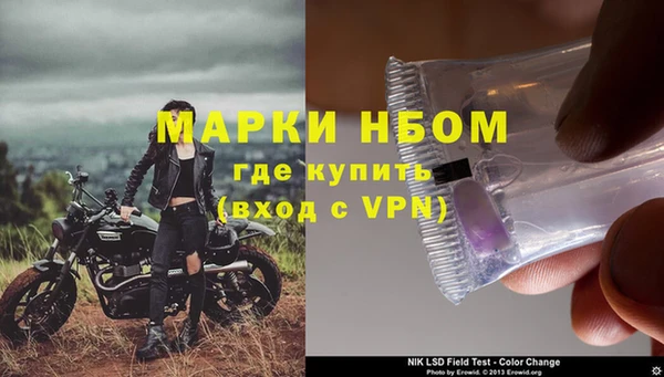 ECSTASY Алзамай