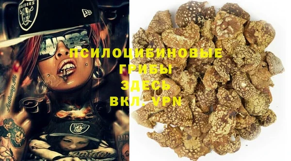 spice Алексин