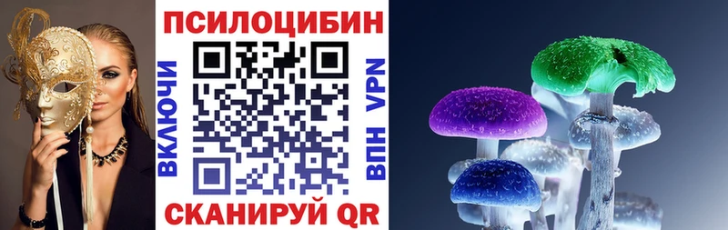 Псилоцибиновые грибы Psilocybine cubensis  гидра зеркало  Буй 