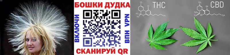 купить цена Буй Бошки Шишки ГИДРОПОН